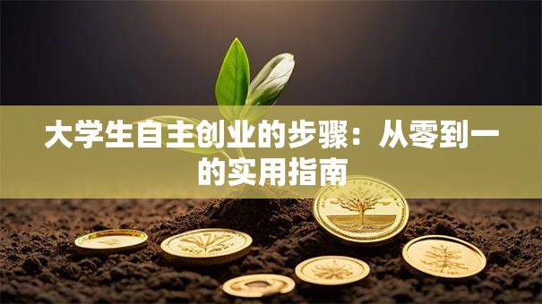 大学生自主创业的步骤：从零到一的实用指南