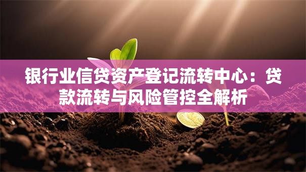 银行业信贷资产登记流转中心：贷款流转与风险管控全解析