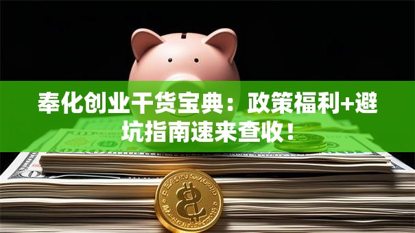 奉化创业干货宝典：政策福利+避坑指南速来查收！