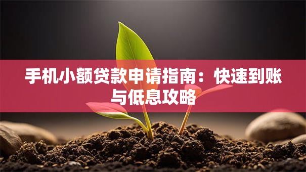 手机小额贷款申请指南：快速到账与低息攻略