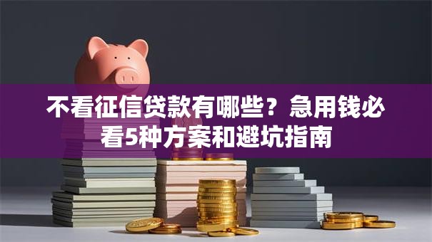不看征信贷款有哪些？急用钱必看5种方案和避坑指南