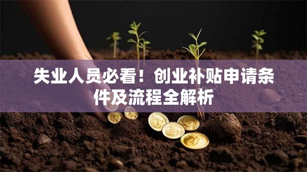 失业人员必看！创业补贴申请条件及流程全解析