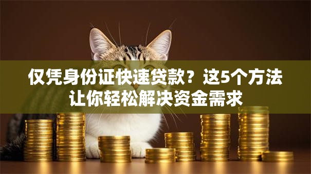仅凭身份证快速贷款？这5个方法让你轻松解决资金需求