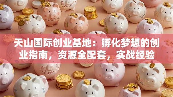 天山国际创业基地：孵化梦想的创业指南，资源全配套，实战经验分享