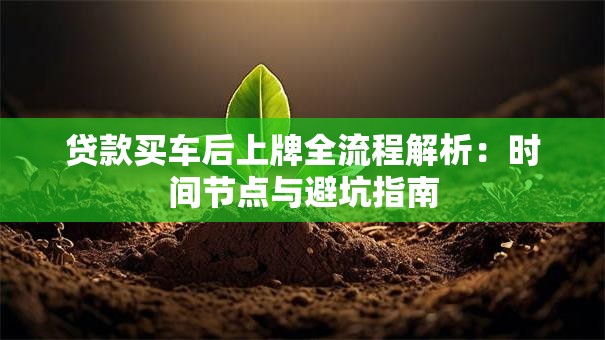 贷款买车后上牌全流程解析：时间节点与避坑指南