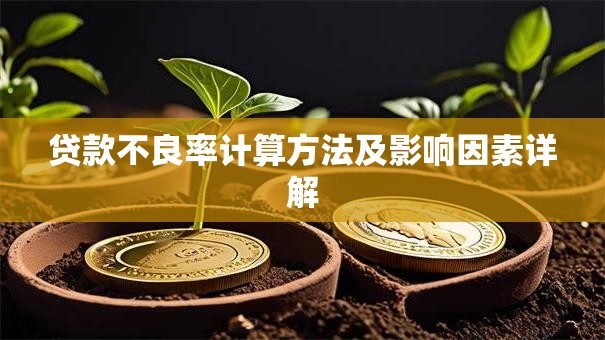贷款不良率计算方法及影响因素详解