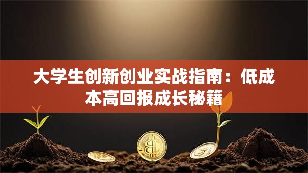 大学生创新创业实战指南:低成本高回报成长秘籍 大学生创新创业实战指南:低成本高回报成长秘籍