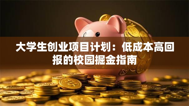 大学生创业项目计划：低成本高回报的校园掘金指南