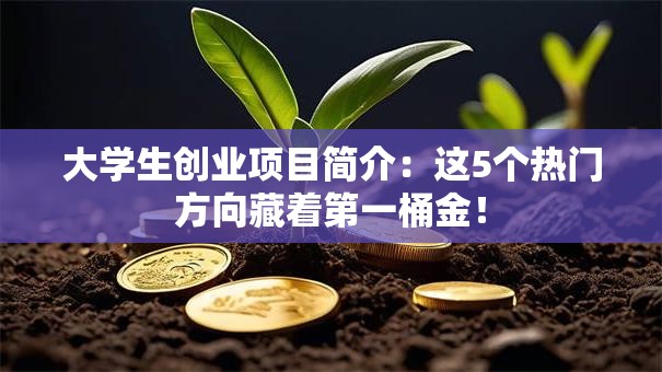 大学生创业项目简介：这5个热门方向藏着第一桶金！