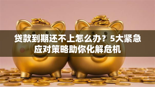 贷款到期还不上怎么办？5大紧急应对策略助你化解危机