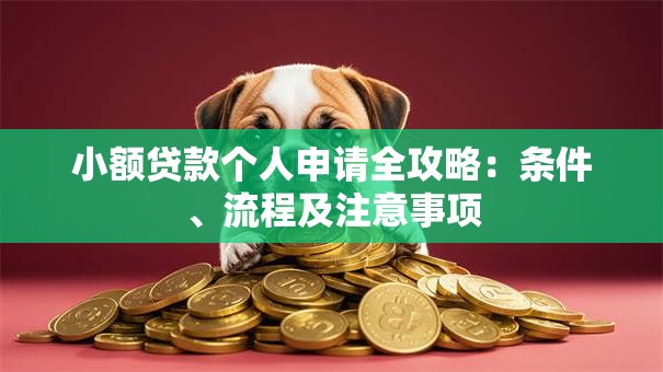 小额贷款个人申请全攻略：条件、流程及注意事项