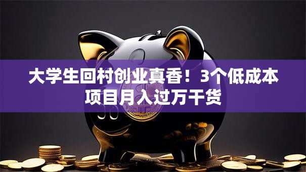 大学生回村创业真香！3个低成本项目月入过万干货
