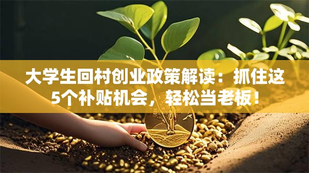 大学生回村创业政策解读：抓住这5个补贴机会，轻松当老板！