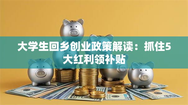 大学生回乡创业政策解读：抓住5大红利领补贴