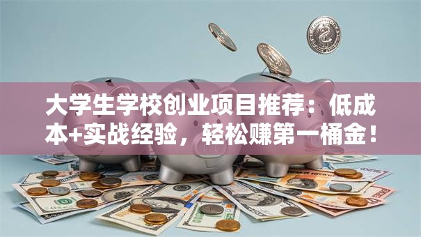 大学生学校创业项目推荐：低成本+实战经验，轻松赚第一桶金！