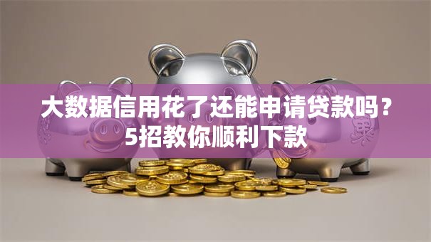大数据信用花了还能申请贷款吗？5招教你顺利下款