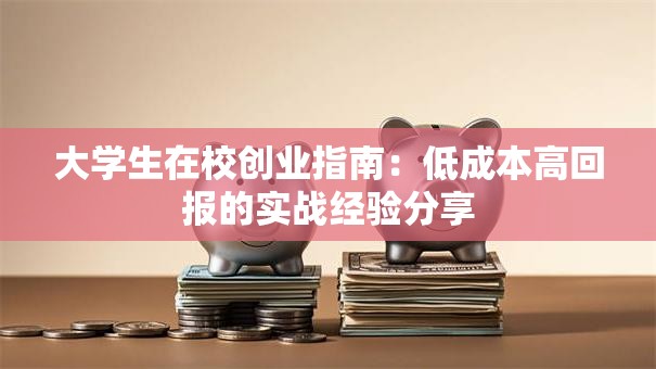 大学生在校创业指南：低成本高回报的实战经验分享