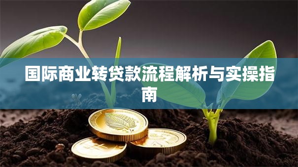 国际商业转贷款流程解析与实操指南