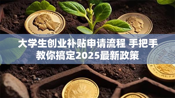 大学生创业补贴申请流程 手把手教你搞定2025最新政策