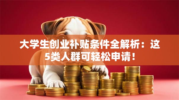 大学生创业补贴条件全解析：这5类人群可轻松申请！