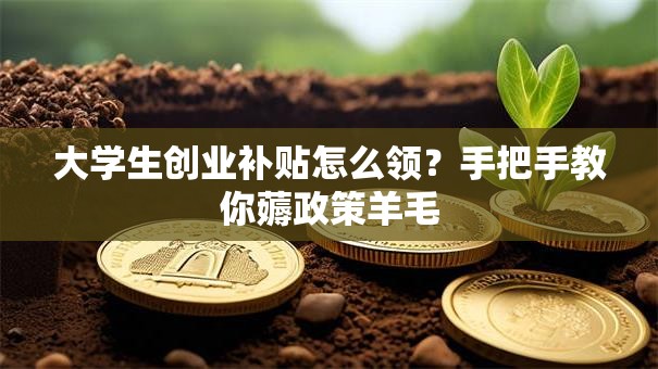 大学生创业补贴怎么领？手把手教你薅政策羊毛
