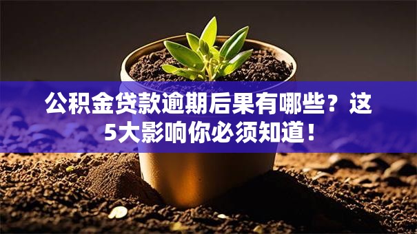 公积金贷款逾期后果有哪些？这5大影响你必须知道！