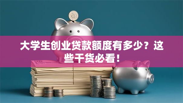 大学生创业贷款额度有多少？这些干货必看！