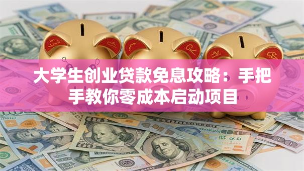 大学生创业贷款免息攻略：手把手教你零成本启动项目