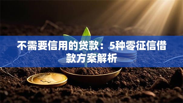 不需要信用的贷款：5种零征信借款方案解析