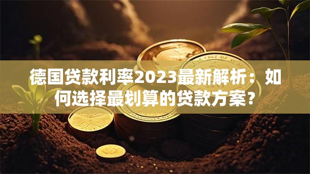 德国贷款利率2023最新解析：如何选择最划算的贷款方案？