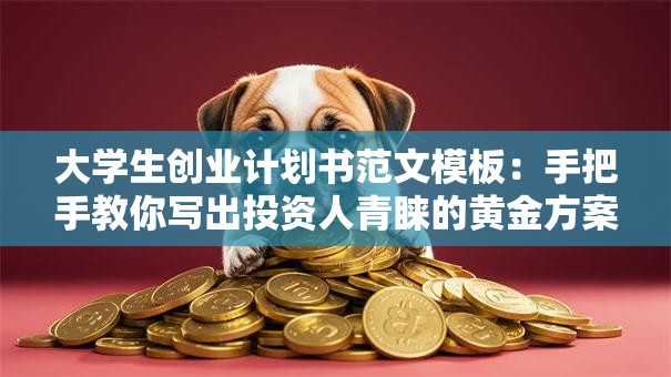 大学生创业计划书范文模板：手把手教你写出投资人青睐的黄金方案