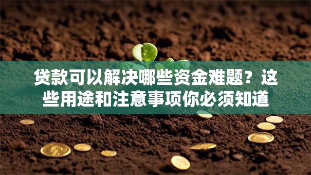 贷款可以解决哪些资金难题？这些用途和注意事项你必须知道