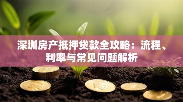深圳房产抵押贷款全攻略：流程、利率与常见问题解析