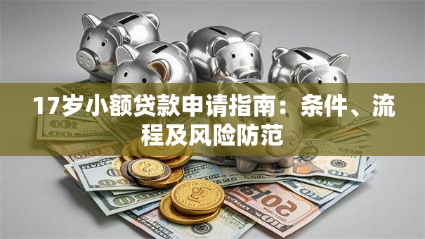 17岁小额贷款申请指南：条件、流程及风险防范