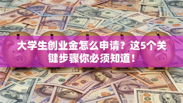 大学生创业金怎么申请？这5个关键步骤你必须知道！