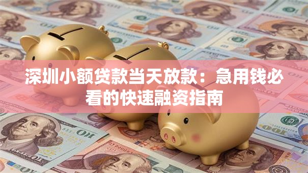 深圳小额贷款当天放款：急用钱必看的快速融资指南