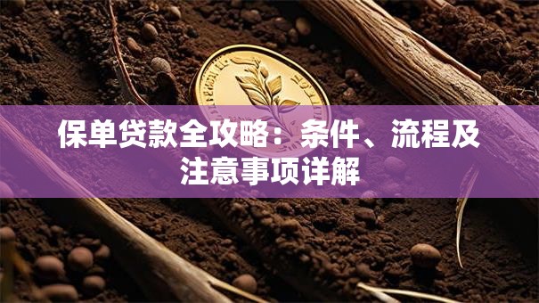 保单贷款全攻略：条件、流程及注意事项详解
