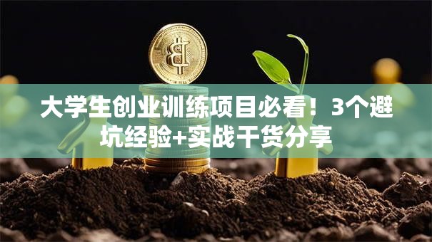 大学生创业训练项目必看！3个避坑经验+实战干货分享
