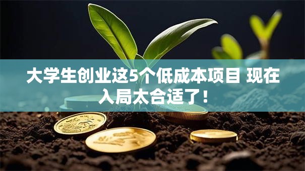 大学生创业这5个低成本项目 现在入局太合适了！