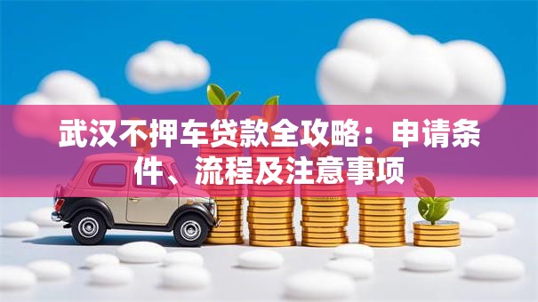 武汉不押车贷款全攻略：申请条件、流程及注意事项