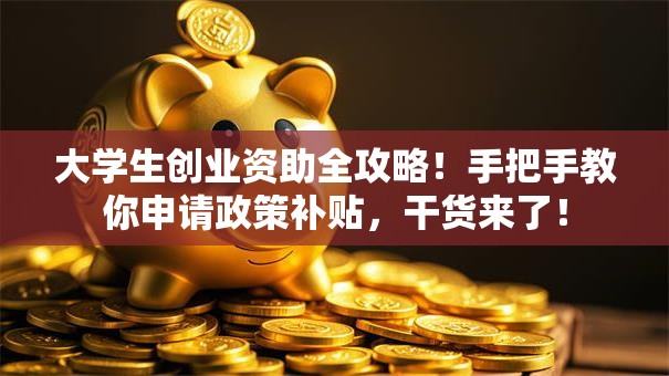 大学生创业资助全攻略！手把手教你申请政策补贴，干货来了！