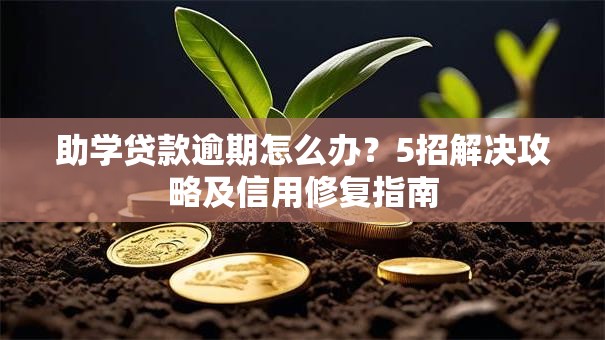 助学贷款逾期怎么办？5招解决攻略及信用修复指南