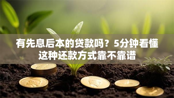 有先息后本的贷款吗？5分钟看懂这种还款方式靠不靠谱
