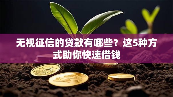 无视征信的贷款有哪些？这5种方式助你快速借钱