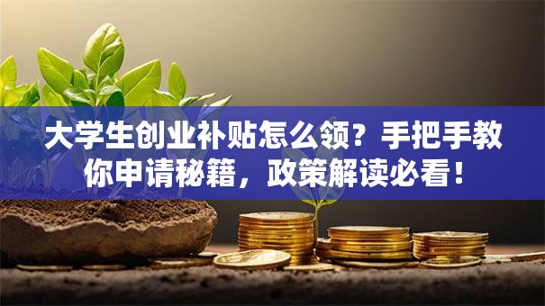 大学生创业补贴怎么领？手把手教你申请秘籍，政策解读必看！