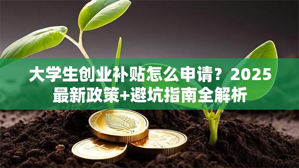 大学生创业补贴怎么申请？2025最新政策+避坑指南全解析