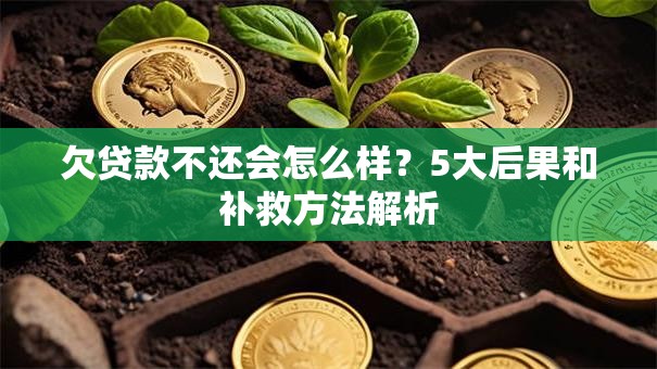 欠贷款不还会怎么样？5大后果和补救方法解析