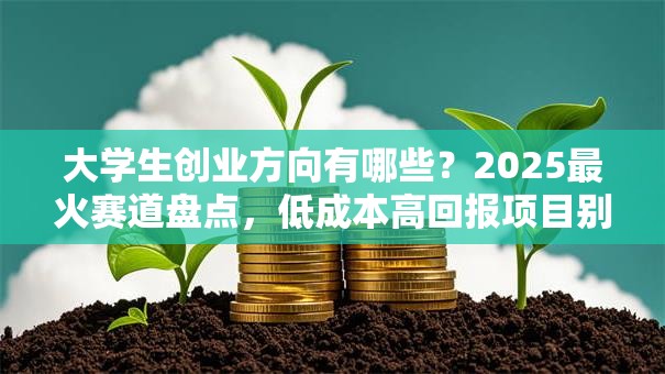 大学生创业方向有哪些？2025最火赛道盘点，低成本高回报项目别错过