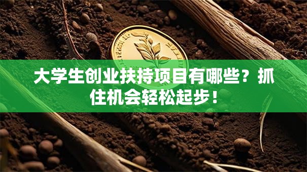 大学生创业扶持项目有哪些？抓住机会轻松起步！