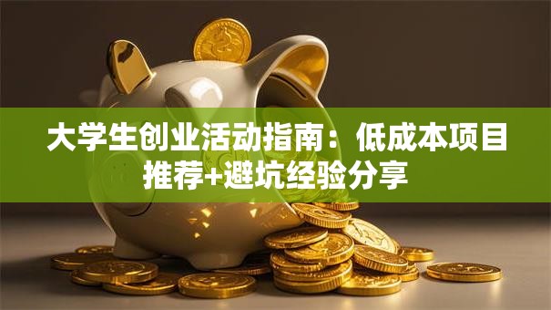 大学生创业活动指南：低成本项目推荐+避坑经验分享